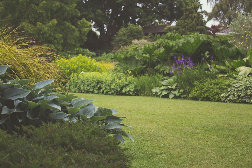 A beautiful garden.