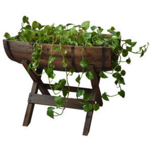 raised planter