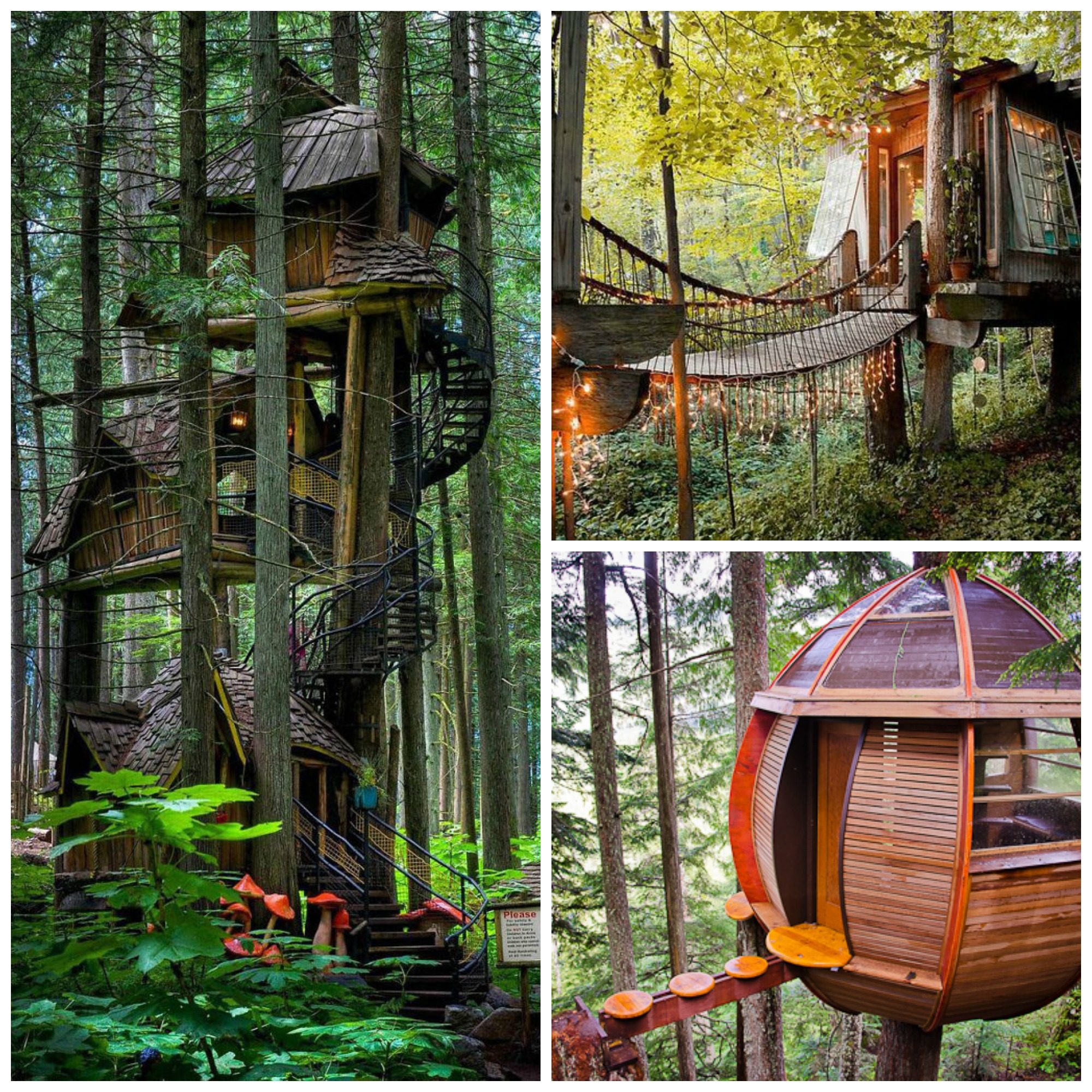 tree houses